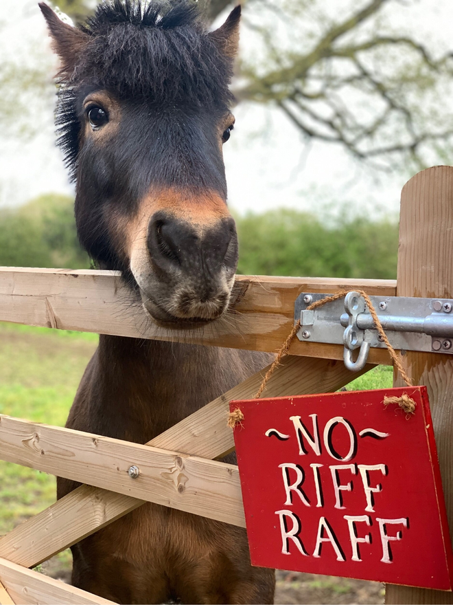 No Riff Raff sign