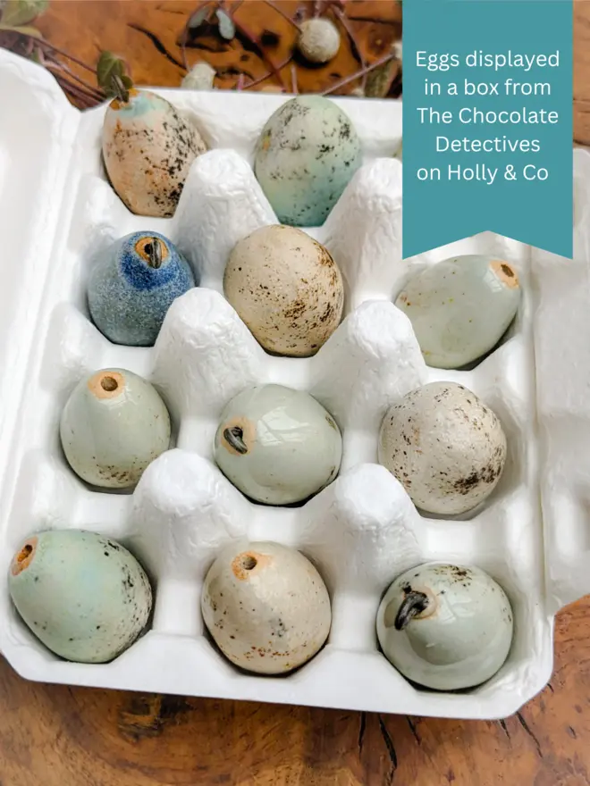 Eggs in box from The Chocolate Detective