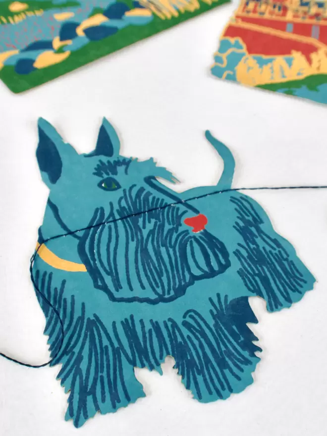 Close up of blue scotty dog 