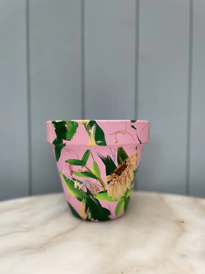 Unique hand-painted terracotta pot featuring apricot zinderella on a pale pink background