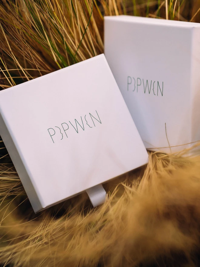 Pipwin Gift Box