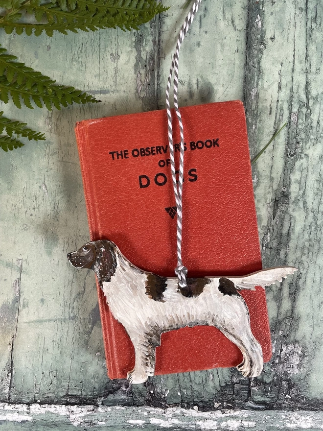 Springer Spaniel Memory Decoration Laid on a red book about dogs 