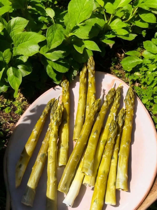 Asparagus Spear Dinner Candles 2pk