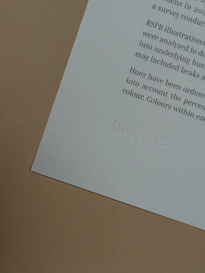 Bird Colours Lithograph Print