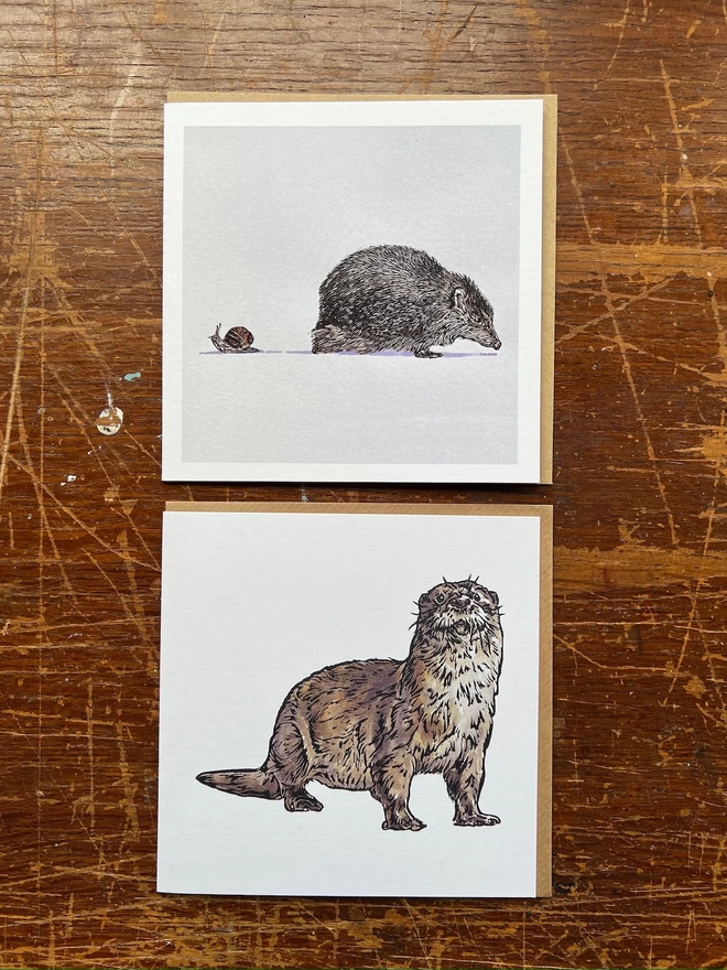 hedgehog and snail card and otter card