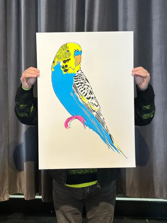 Budgerigar Screenprint - Blue