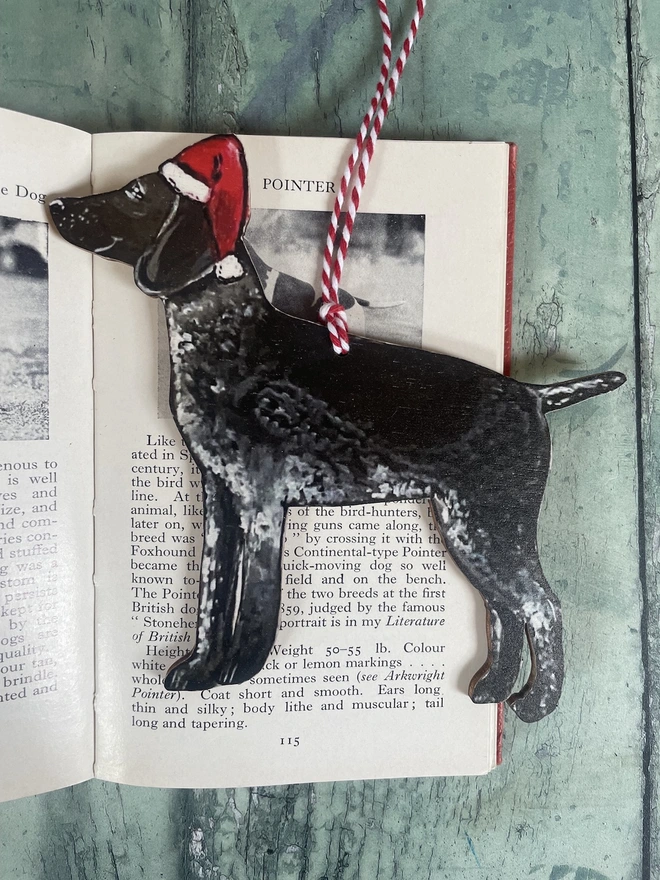 Red hung with red and white twine wearing a santa hat placed on a book with text about dogs