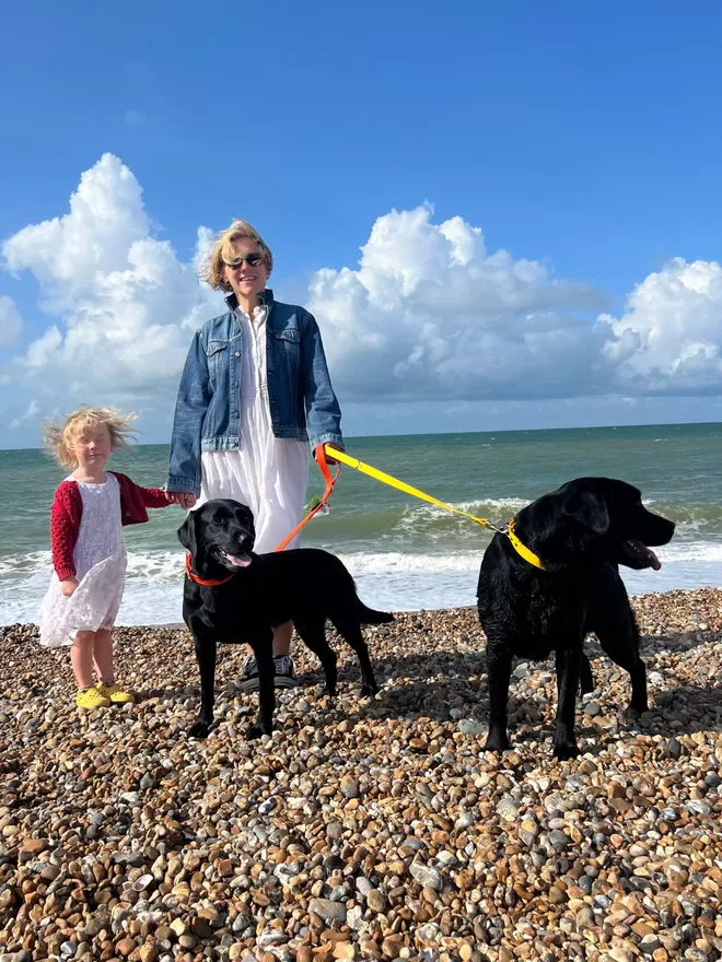 An adult and child on the beach walking two Labradors using the Creature Clothes in Biothane Dog Lead in yellow and red.
