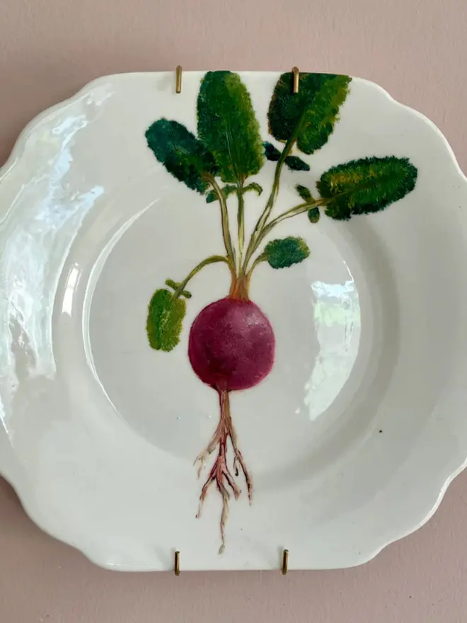 Fine Art Oil Painted Radish On A vintage Tea Plate, hanging on a pink wall. 