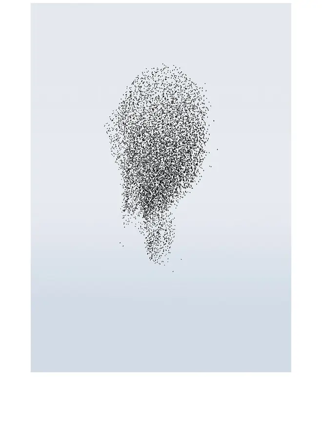 Murmuration 4 Giclée Print 
