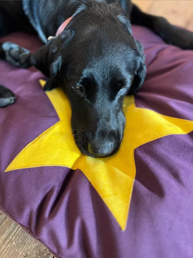 Velvet Dog bed in Plum with a golden star