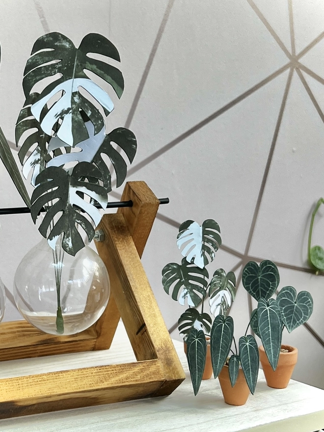 A miniature replica Variegated Monstera Deliciosa Albo paper plant ornament in a terracotta pot with 2 other paper plants to the right and to the left is a larger version of the monstera in a glass propagation stand