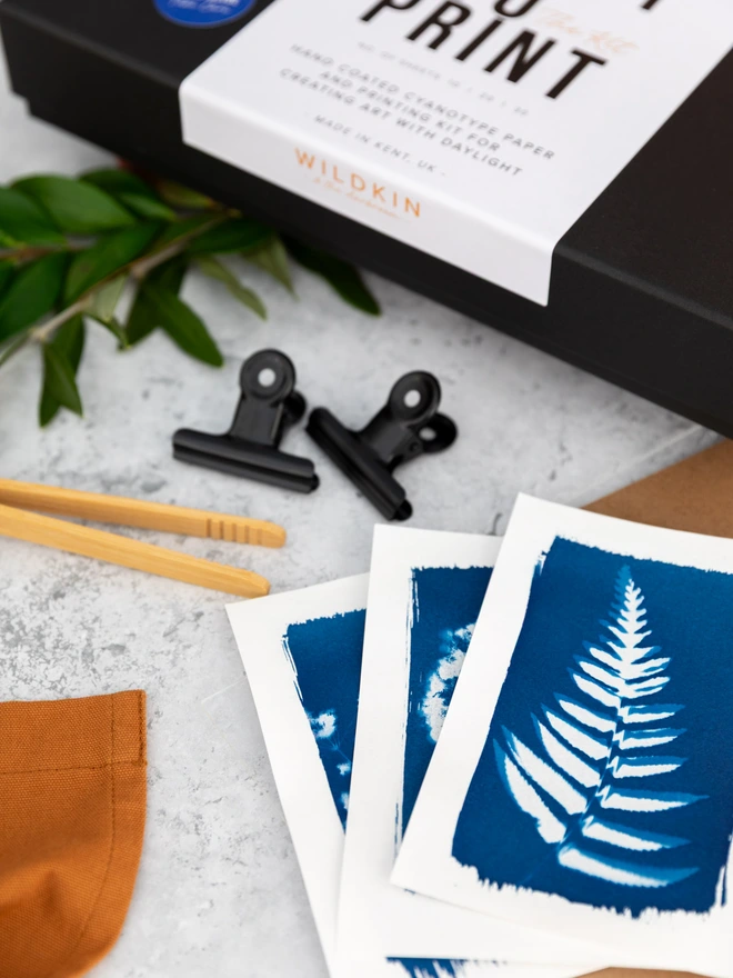 contents of the cyanotype printing box laid out with some completed cyanotype prints.