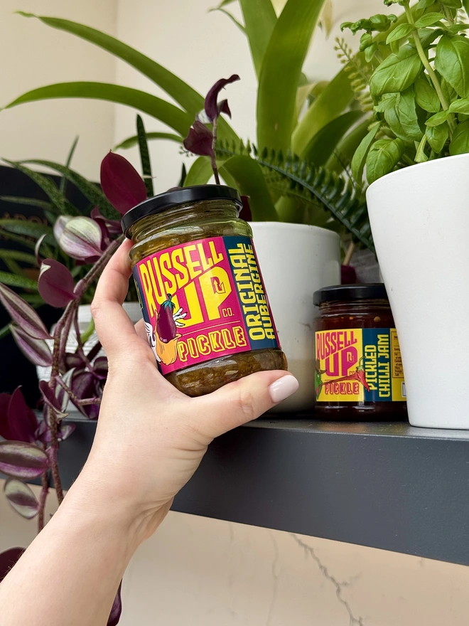 father's day pickles - cheese set. a jar of aubergine pickle photographed next to a houseplant. 