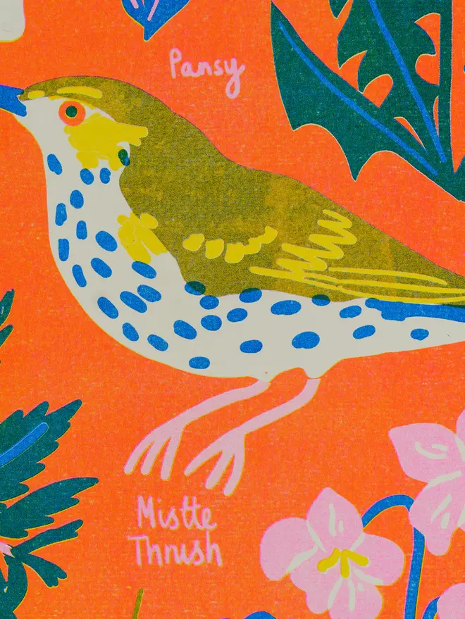'February' Month Forage Print