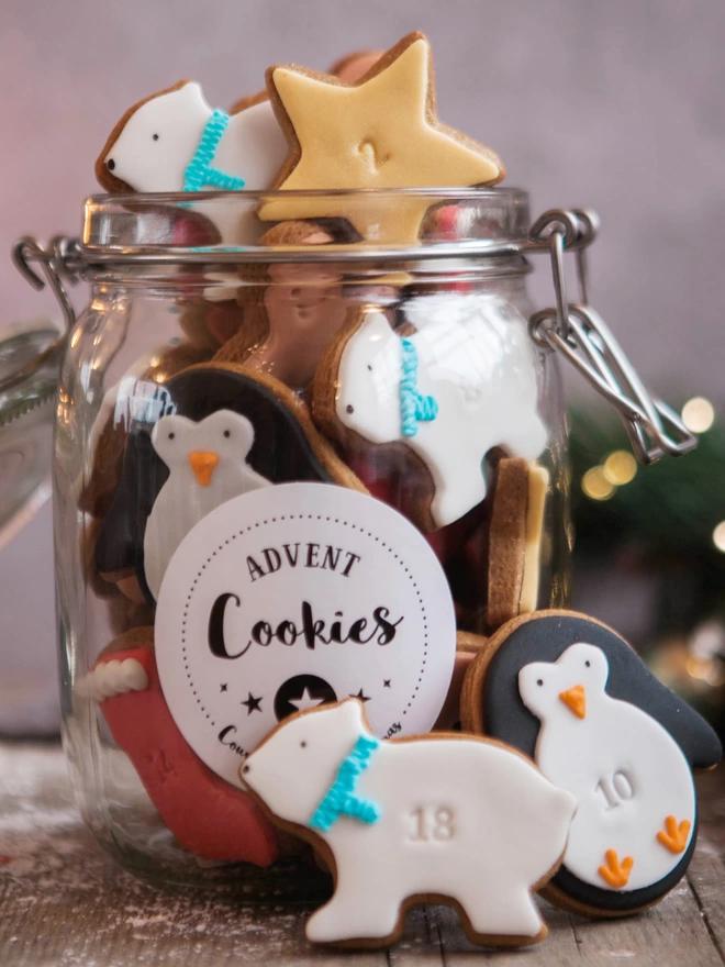 Advent cookie biscuit gift 