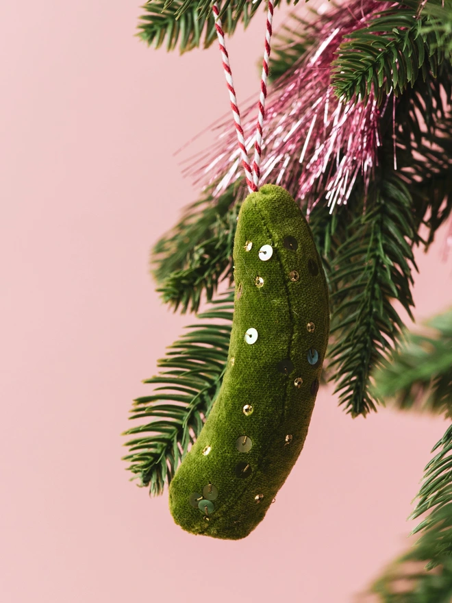 A green velvet Pickle ornament hanging on a christmas tree branch