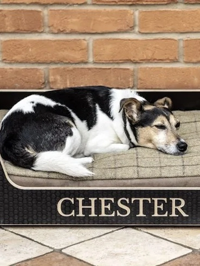 Wooden Personalised Dog Bed