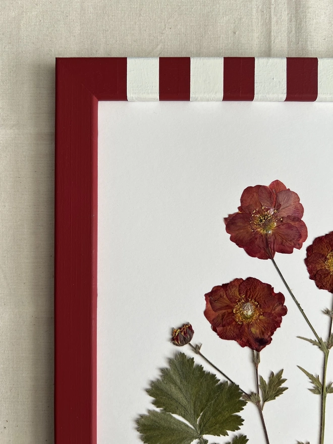 close up of top left corner of frame