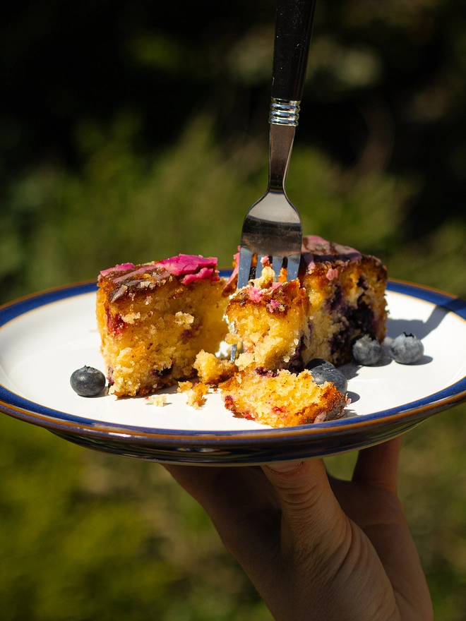 Lemon and Blueberry Cake outside in the spring sunshine
