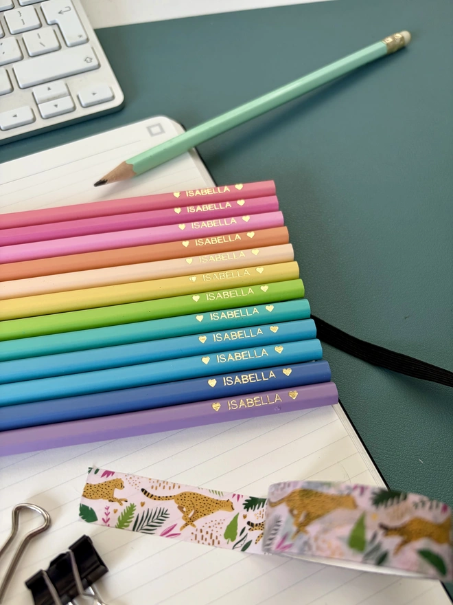 Pastel Colouring Pencils