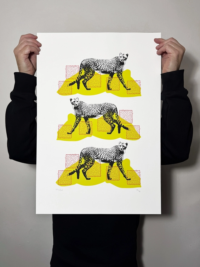 A Coalition of Cheetahs - Screen Printed Poster - scale shot