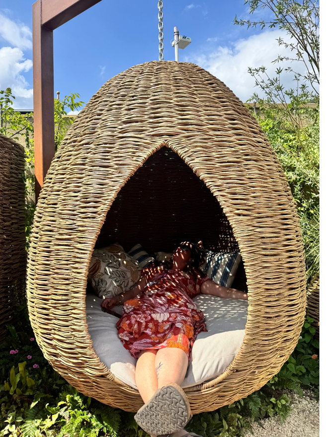 Willow Nest Hanging