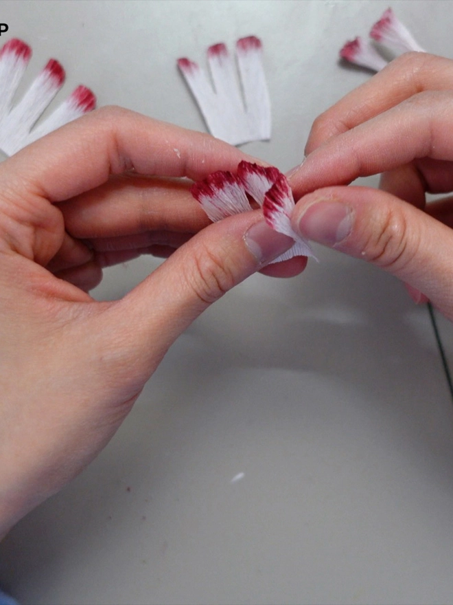 Crepe Paper Carnation DIY Kit