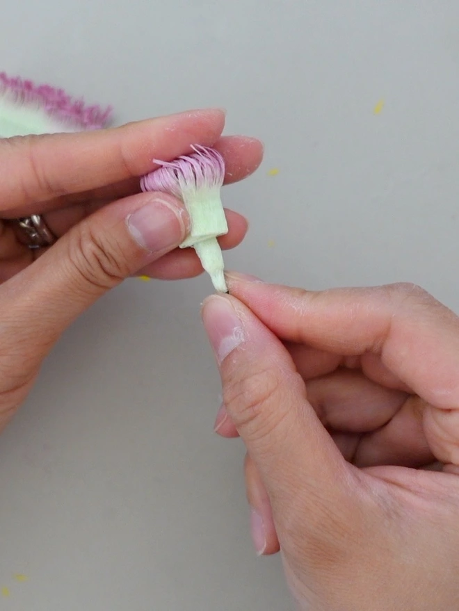 Making of Crepe Paper Zinnia in Queen Lime Blush