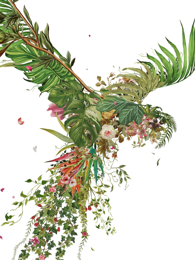 Beautiful pigeons print