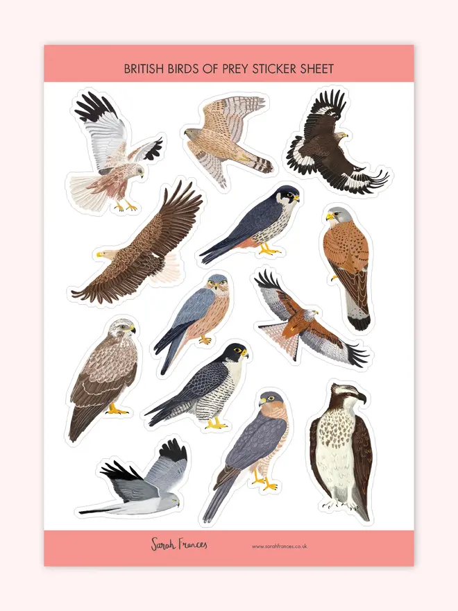 birds of prey sticker sheet