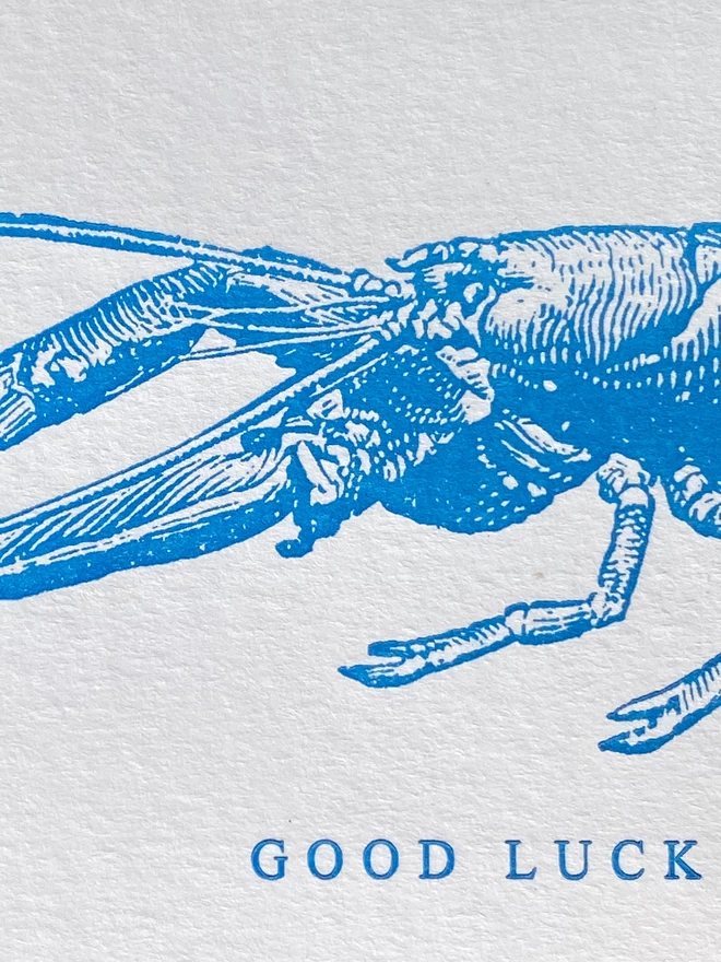 Close up of white card with blue illustration of a lobster and text reading 'GOOD LUCK'