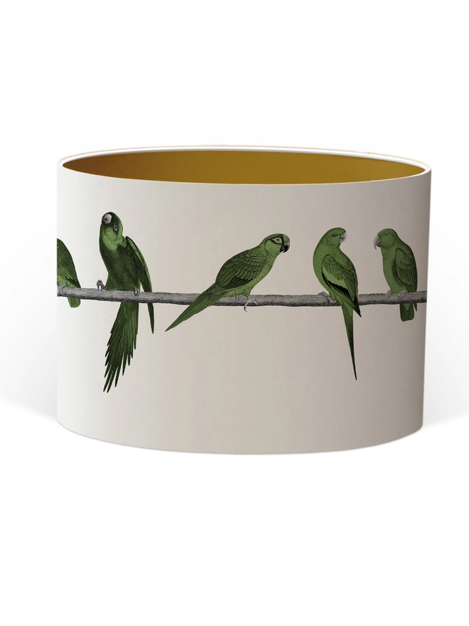 Drum Lampshade featuring Green Parrots with a gold inner on a white background