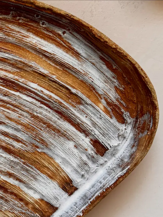 5. Venus Clam Wall Plate