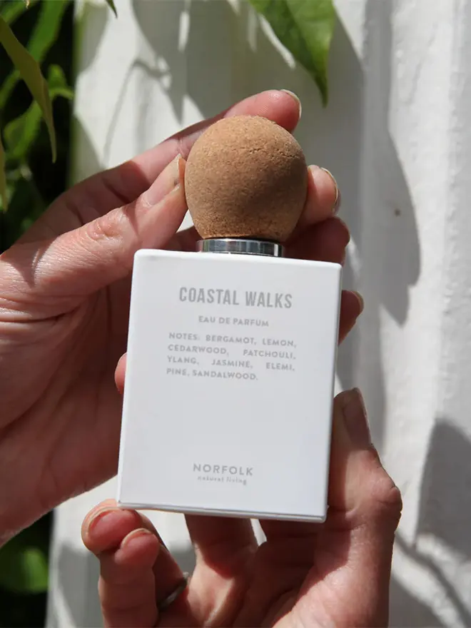 Coastal Walks Eau de Parfum bottle with cork lid in 50ml size, held up by two hands against a neutral background with foliage
