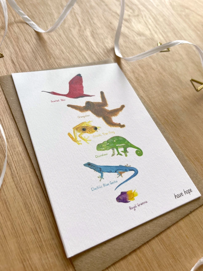 a greetings card featuring illustrations of animals in colours making up the rainbow with the text “have hope”