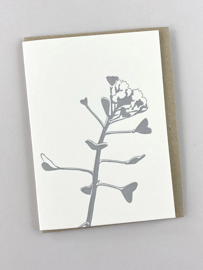 Metallic silver shepherds purse little notes card with two of each letterpress designs inside each gift box
