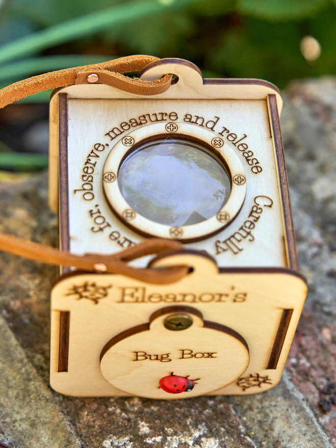 Personalised birch plywood observation box with a viewing panel at the top