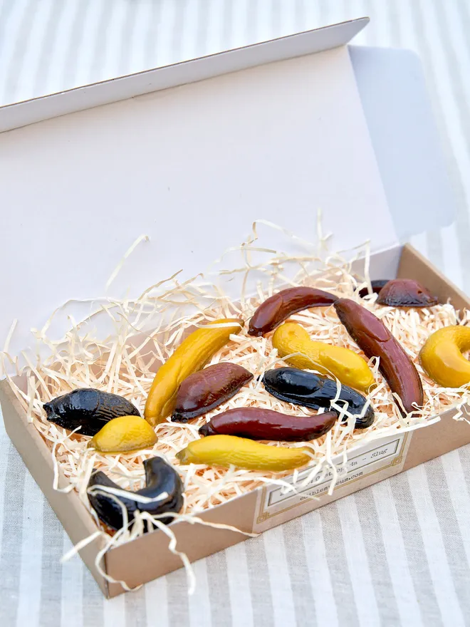 Chocolate slugs