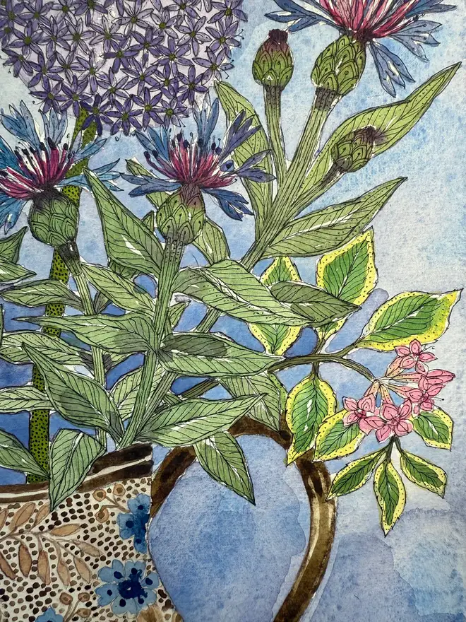 Alliums, mountain cornflowers and Weigela