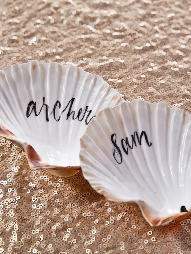 Seashell place setting