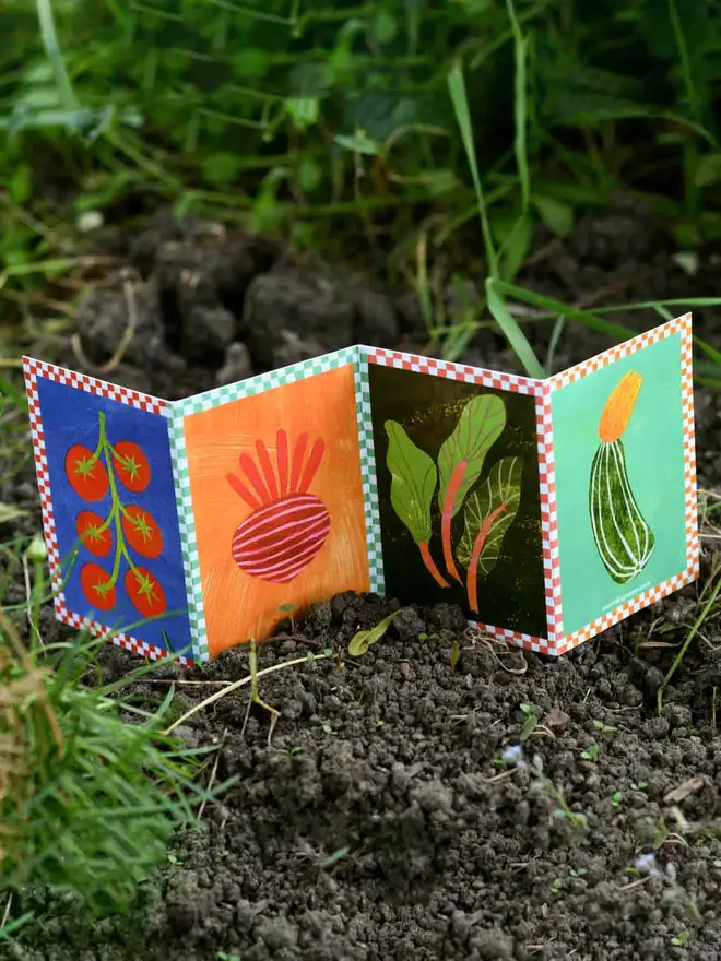 Veg patch concertina card