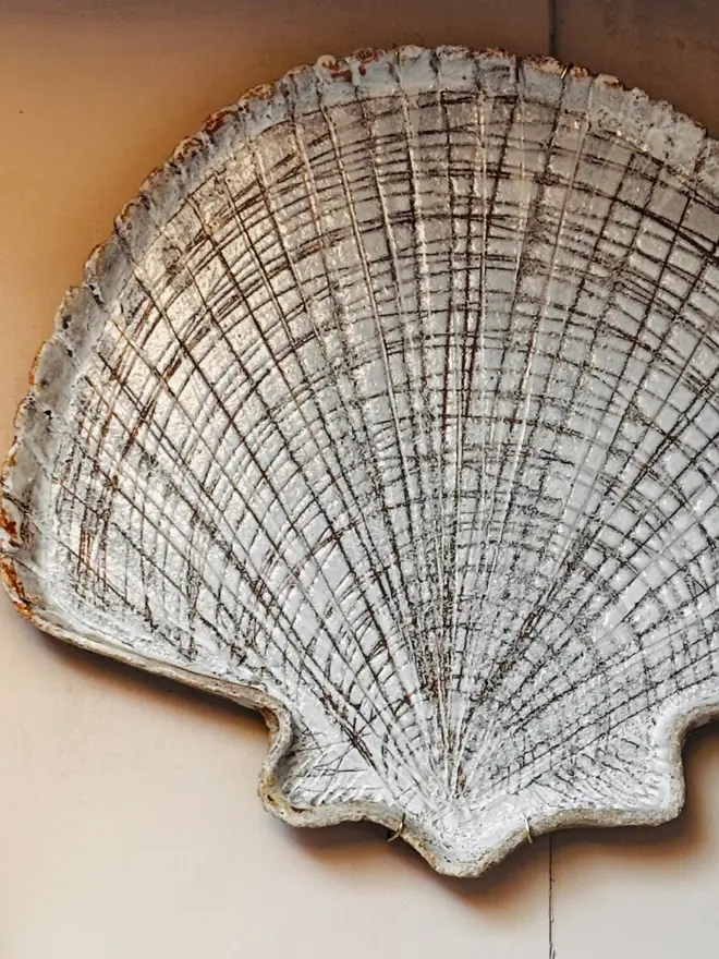 3. Scallop Shell Wall Plate