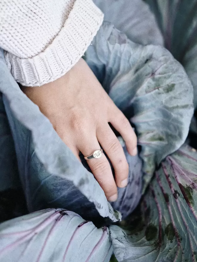 Image of a Hand wearing silver moon face ring, hand in a blue and purple coloured cabbage 