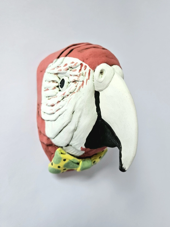 Reggie Scarlett Macaw Parrot Ceramic Trophy Style Head