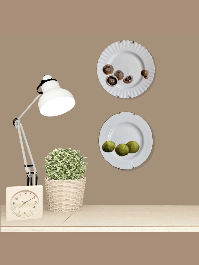 plates on wall