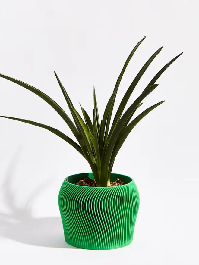 Sustainable 3D Printed Bamboo Green Plant Pot, orbital design against a white background. 