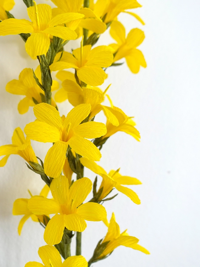 Crepe Paper Winter Jasmine DIY Kit