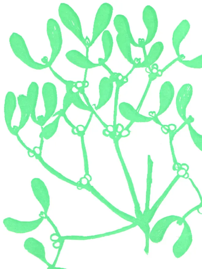 Close up of design on front of card. Monochrome medium-light green artwork of mistletoe clipping.