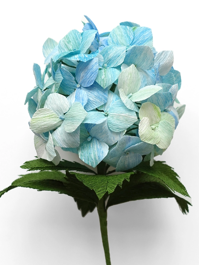 Crepe Paper Hydrangea DIY Kit